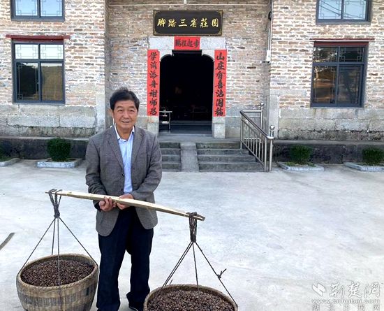 何道關(guān)與自己種的油茶果。黃錚 攝_副本.jpg.jpg